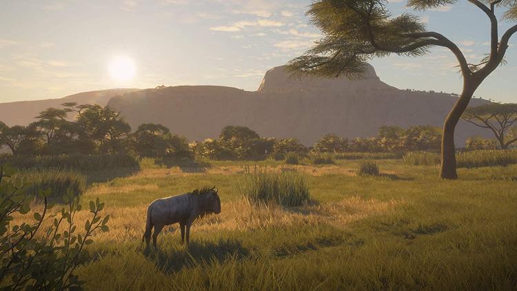 The Hunter Call The Of The Wild 2019 Edition Ps4 Videogioco Italiano Sigillato