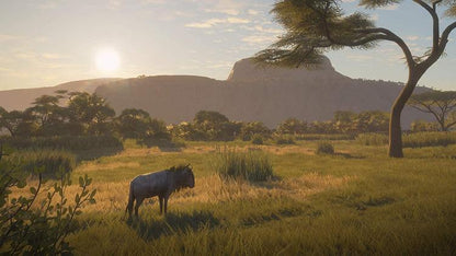 The Hunter Call The Of The Wild 2019 Edition Ps4 Videogioco Italiano Sigillato