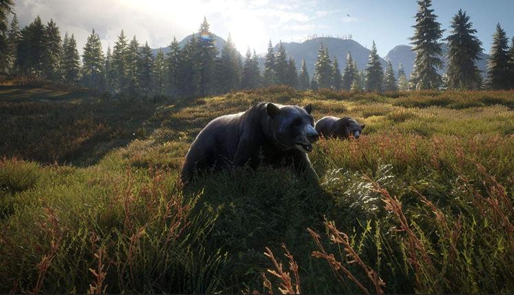 The Hunter Call The Of The Wild 2019 Edition Ps4 Videogioco Italiano Sigillato