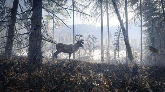 The Hunter Call The Of The Wild 2019 Edition Ps4 Videogioco Italiano Sigillato