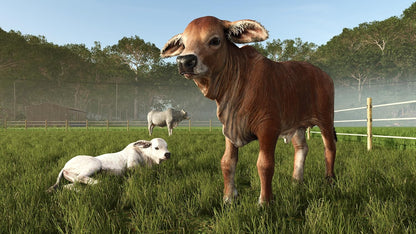 Farming Simulator 25 - Beans & Alpacas Edition PS5 Gioco Ita (Preorder)