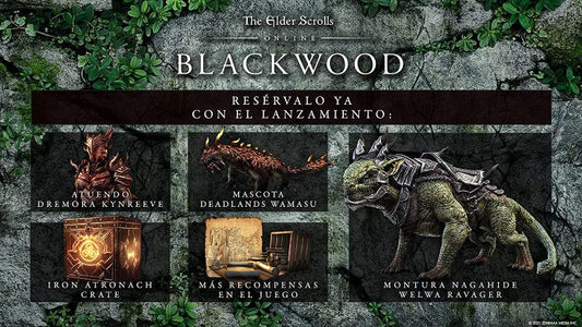The Elder Scrolls Online Collection Blackwood Ps4 Gioco Playstation Italiano