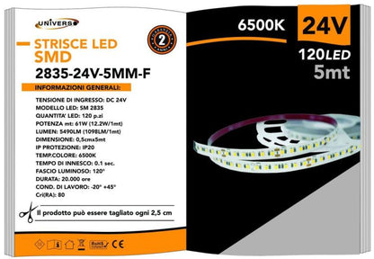 Strip 5M Striscia 600 Led 2835 61W 24V Bobina 5 Mt Biadesiva | Luce Fredda 6500K
