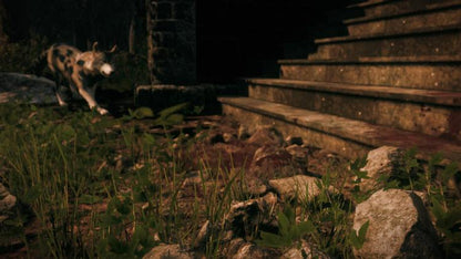 Maid Of Sker Ps5 Gioco Horror Playstation 5 Videogioco Italiano Eu Nuovo Up Ps5