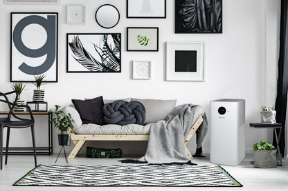 Hisense Purificatore d'Aria Ionizzatore Filtro Hepa+Carboni Attivi Display Sterilizzatore Uv-C AP580H