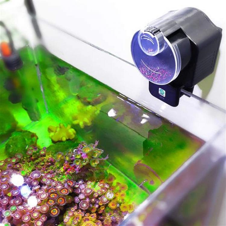 Mangiatoia Cibo Pesci Acquario Dispenser Timer Automatico Distributore Mangime