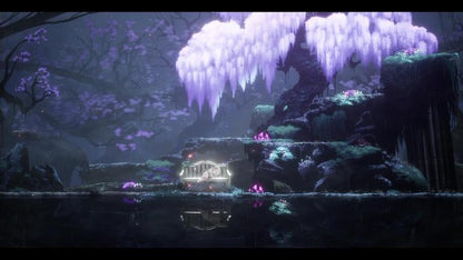 Ender Lilies Quietus Of The Knights Nintendo Switch Videogioco Eu Ita Ver Fisica