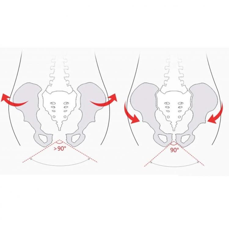 ATTREZZO ALLENAMENTO GLUTEI SEDERE INTERNO COSCIA COSCE ANCA RASSODA GINNASTICA