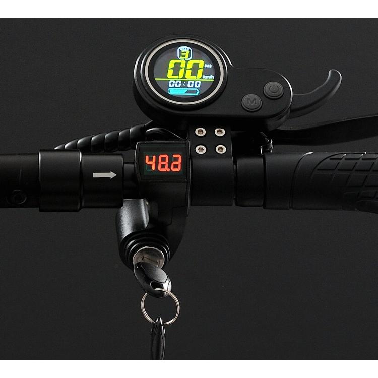 Majestic Lewis Monopattino Scooter Elettrico 500W Ruote 10" Con Chiave E Frecce