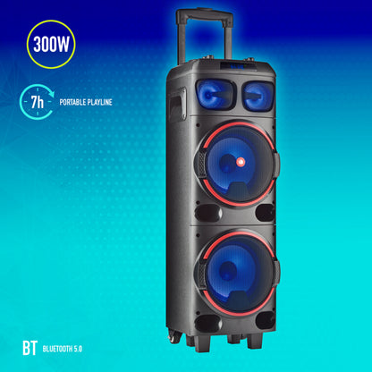 Ngs Cassa Portatile Ricaricabile 300W Amplificata Dj Party Trolley Bluetooth Tws