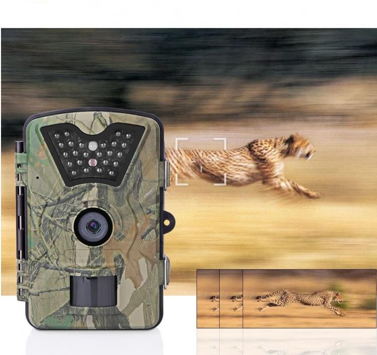 Fototrappola Mimetica Videocamera Spia Telecamera Caccia 24 Led Infrarosso Ip66