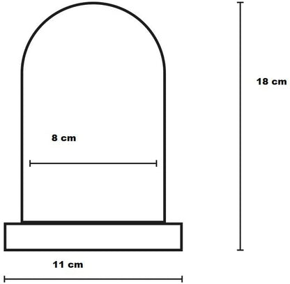 CAMPANA CUPOLA CON ROSA ETERNA LUCE LED BELLA E LA BESTIA NATALIZIA LUCE CALDA