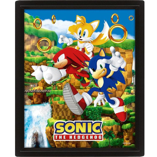 Pyramid - Sonic Hedgehog Catching Rings Poster Framed 3D Lenticular Incorniciato