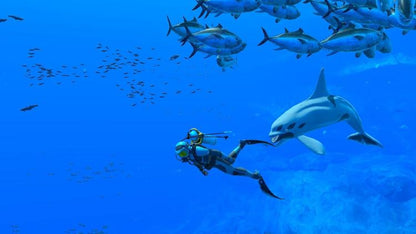 Endless Ocean Luminous Nintendo Switch Gioco Italiano Nuovo Videogioco Sigillato