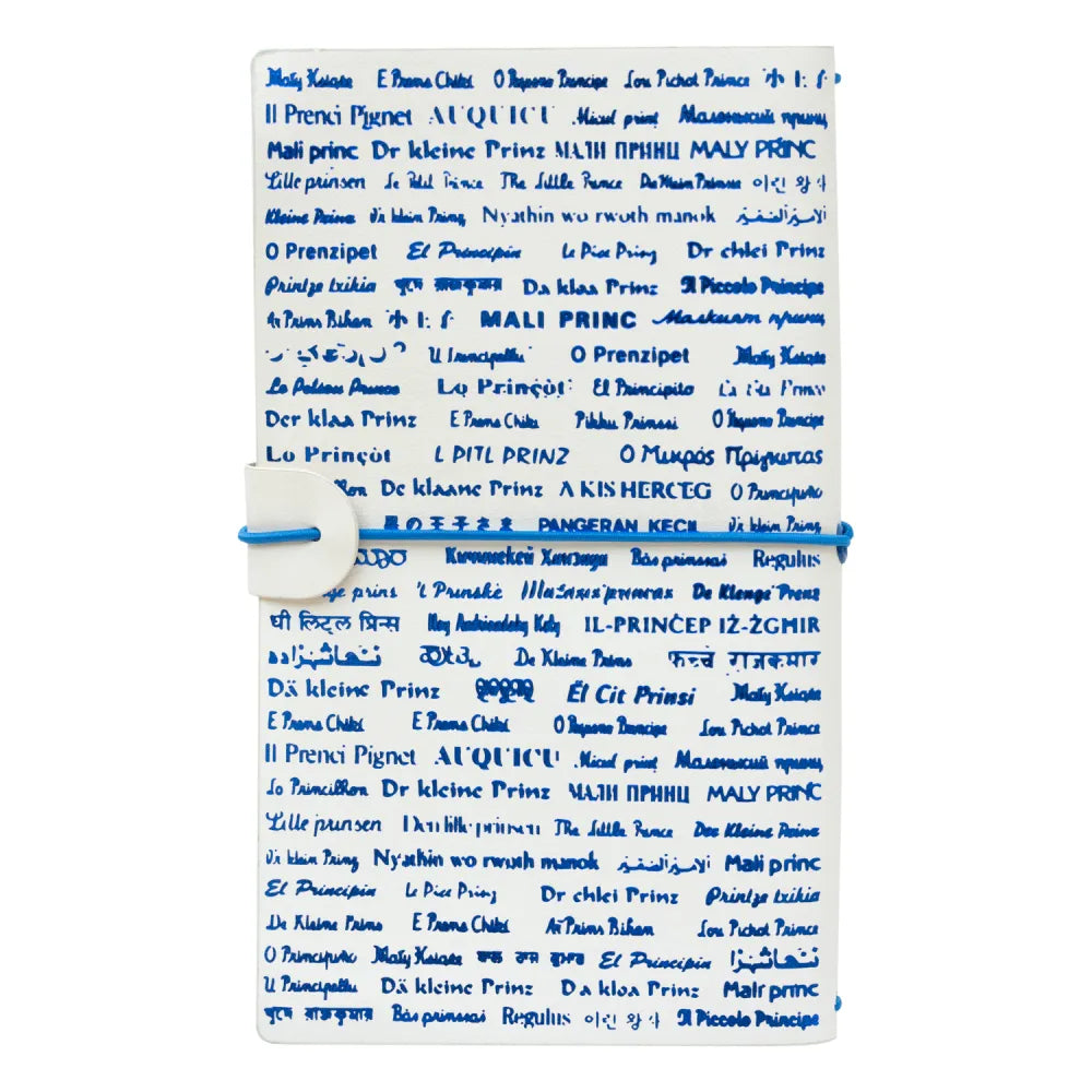 Taccuino "Il Piccolo Principe" Diario Personale Viaggio 2 Quaderni Sostituibili: Bullet Journal Puntinato e a Righe 160 pag
