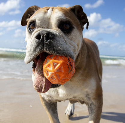 Waboba - Woofgames, Set di giocattoli per cani 3 in 1 - Disco volante Jetwag, Frisbee in gomma + 1 Pallone iper rimbalzo + Palla da riporto Tailwind - Giocattolo all'aria aperta ad alte prestazioni Original