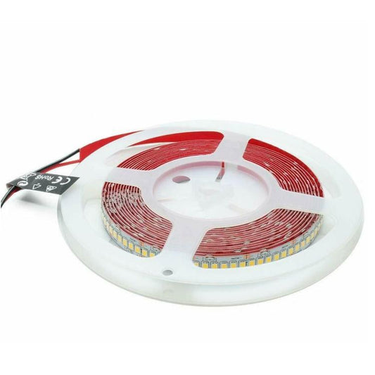 Strip 5M Striscia 600 Led 2835 61W 24V Bobina 5 Mt Biadesiva | Luce Fredda 6500K