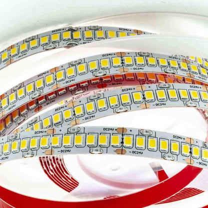 Strip 5M Striscia 600 Led 2835 61W 24V Bobina 5 Mt Biadesiva | Luce Calda 3000K