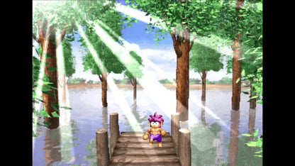 Tomba! Special Edition (Limited Run Games) Ps5 Gioco Eu Ita Playstation 5