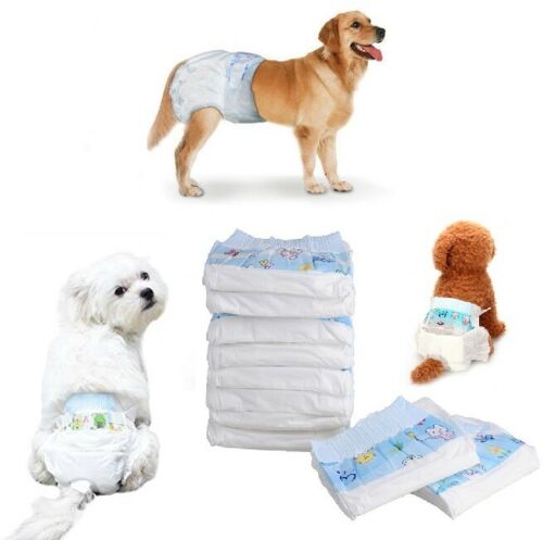 Pannolini Per Cane Polimeri Assorbenti Igienici Mutandina Ciclo Cani Gatti Tg-Xl