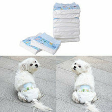 Pannolini Per Cane Polimeri Assorbenti Igienici Mutandina Ciclo Cani Gatti Tg-Xs