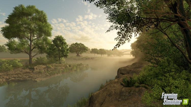 Farming Simulator 25 (Pc) Videogioco (Disco Dvd + Digital Download) Pal Italiano