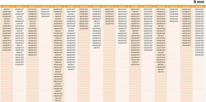 CATENE DA NEVE PER AUTO FURGONE SUV 9mm OMOLOGATE TUV GS-ONORM | GOMME GRUPPO 9