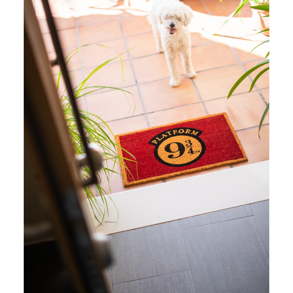 Zerbino - Harry Potter (Platform 9 3/4) Tappeto per Ingresso da Esterno e Interno Cocco Divertente Cameretta Bagno con Base in PVC Antiscivolo Merchandising 40X60 cm